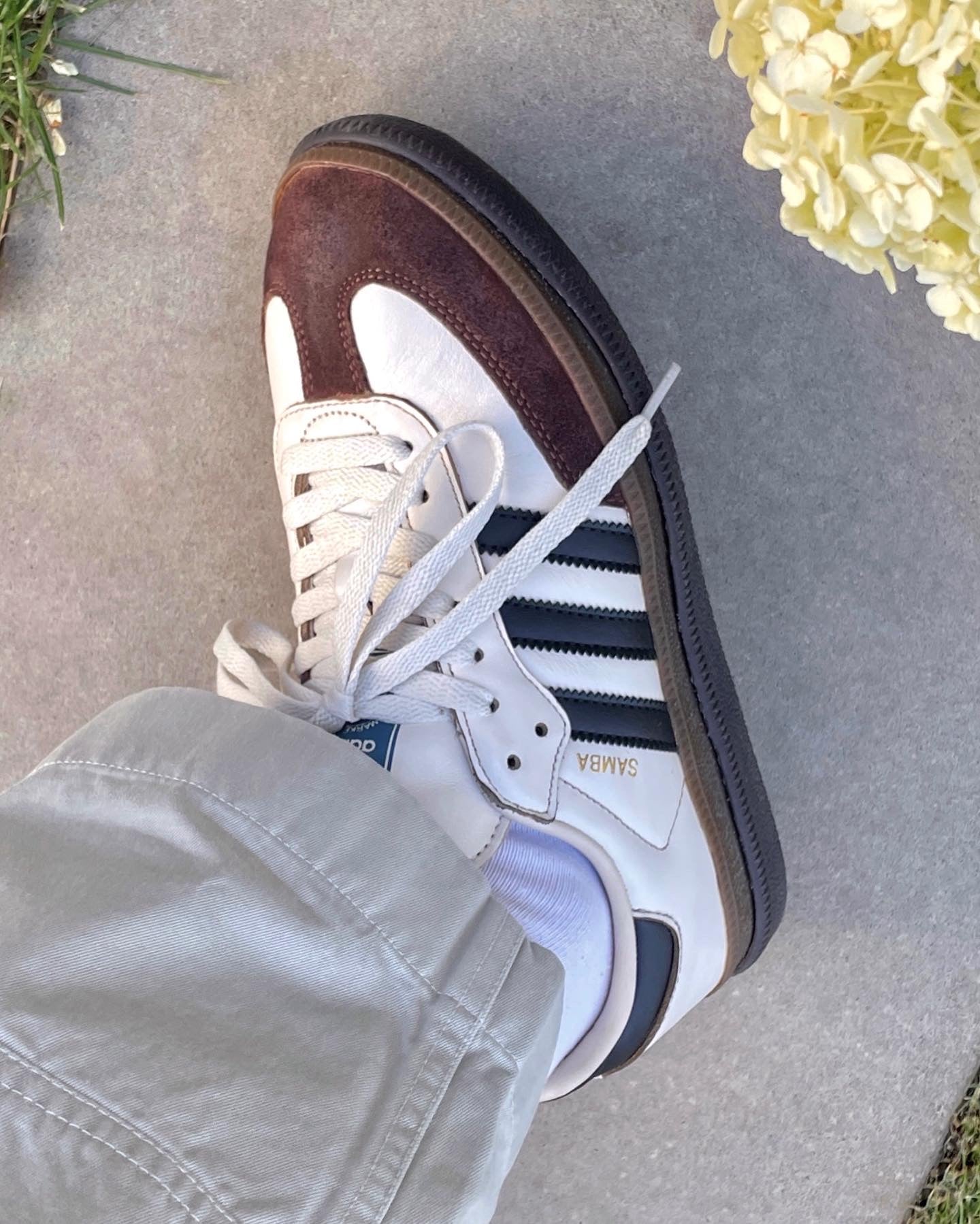 Samba "Doubledecker"