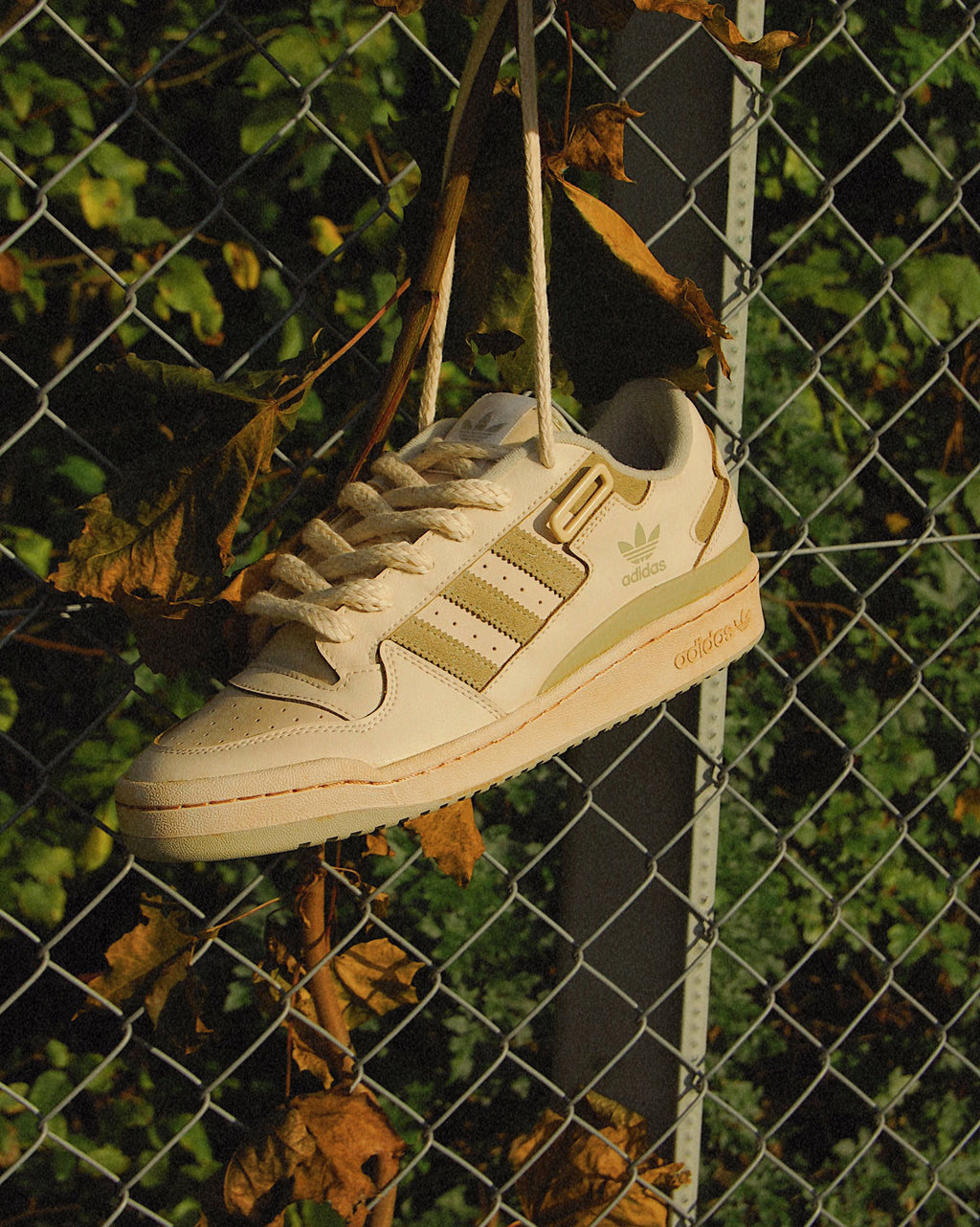 Forum 84 Low "Coffee"