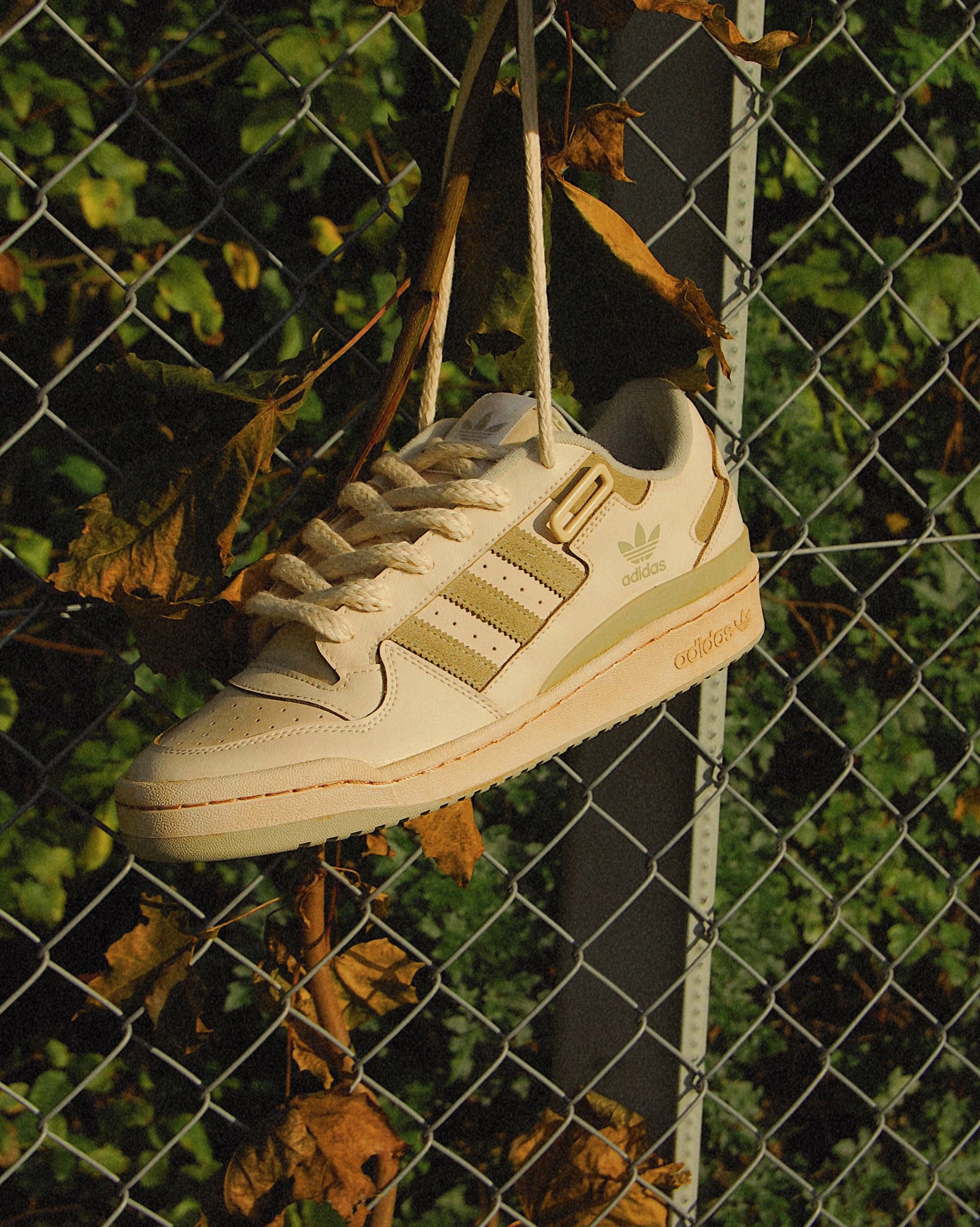 Forum 84 Low "Coffee"