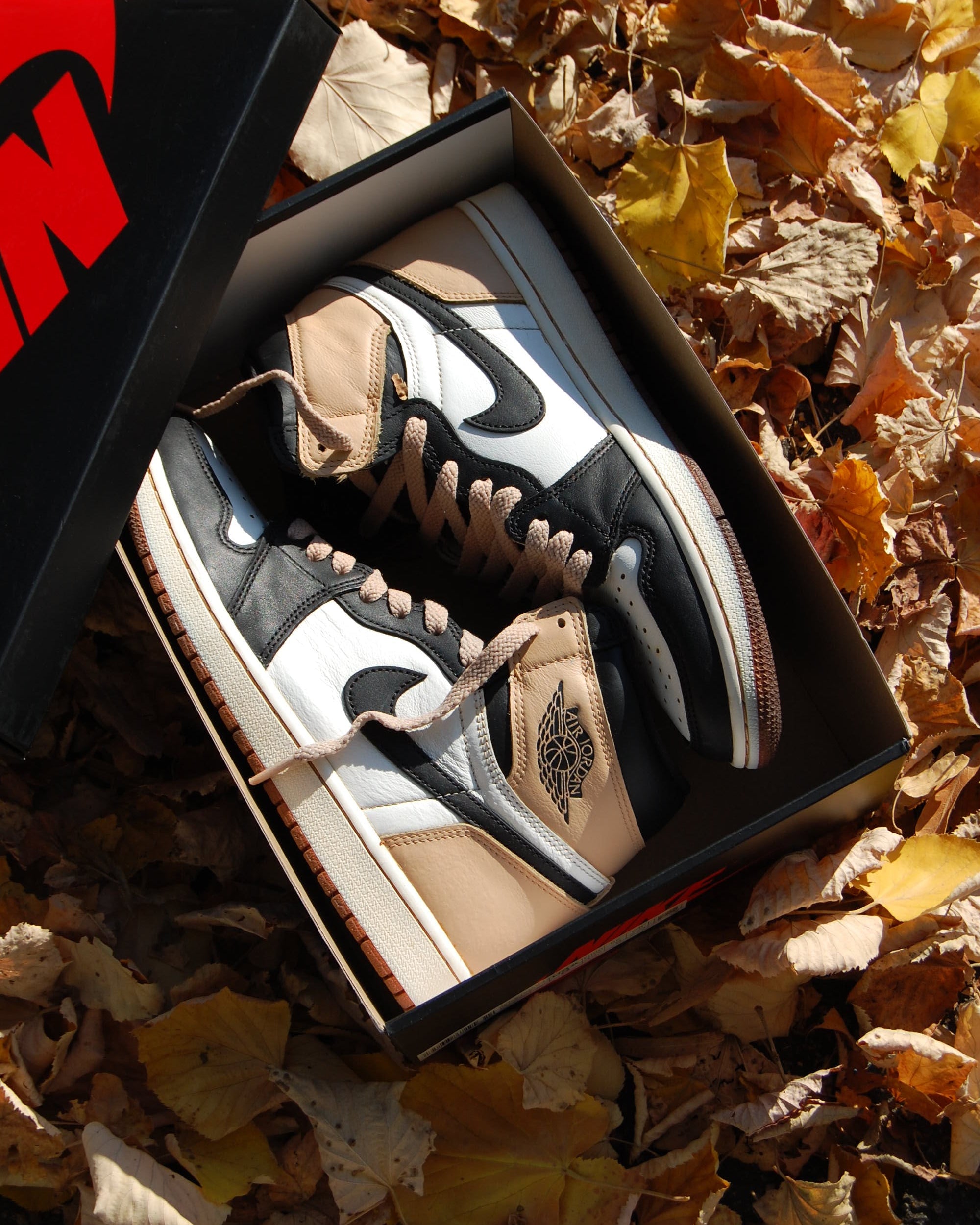 Air Jordan 1 High "Tan"