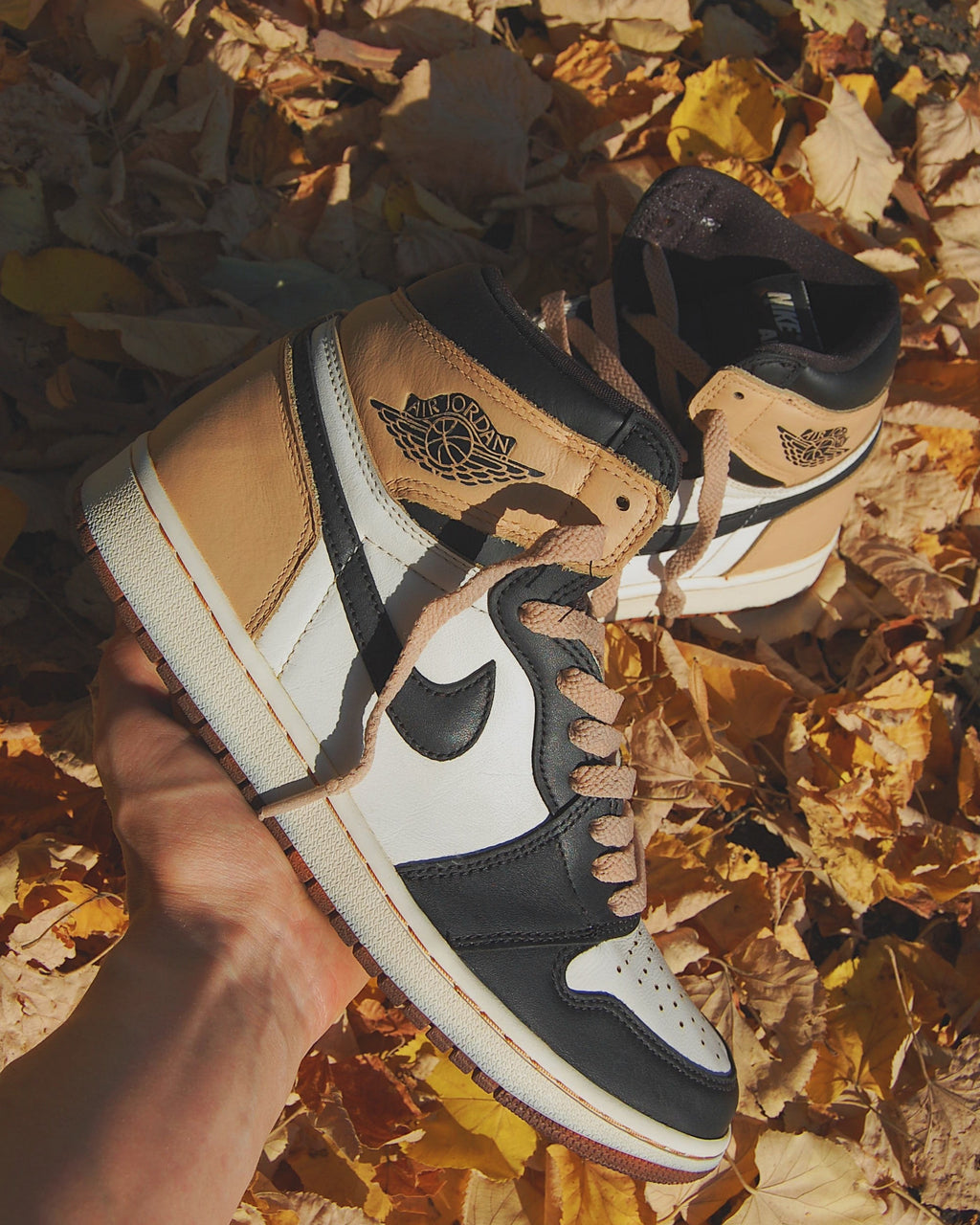 Air Jordan 1 High "Tan"