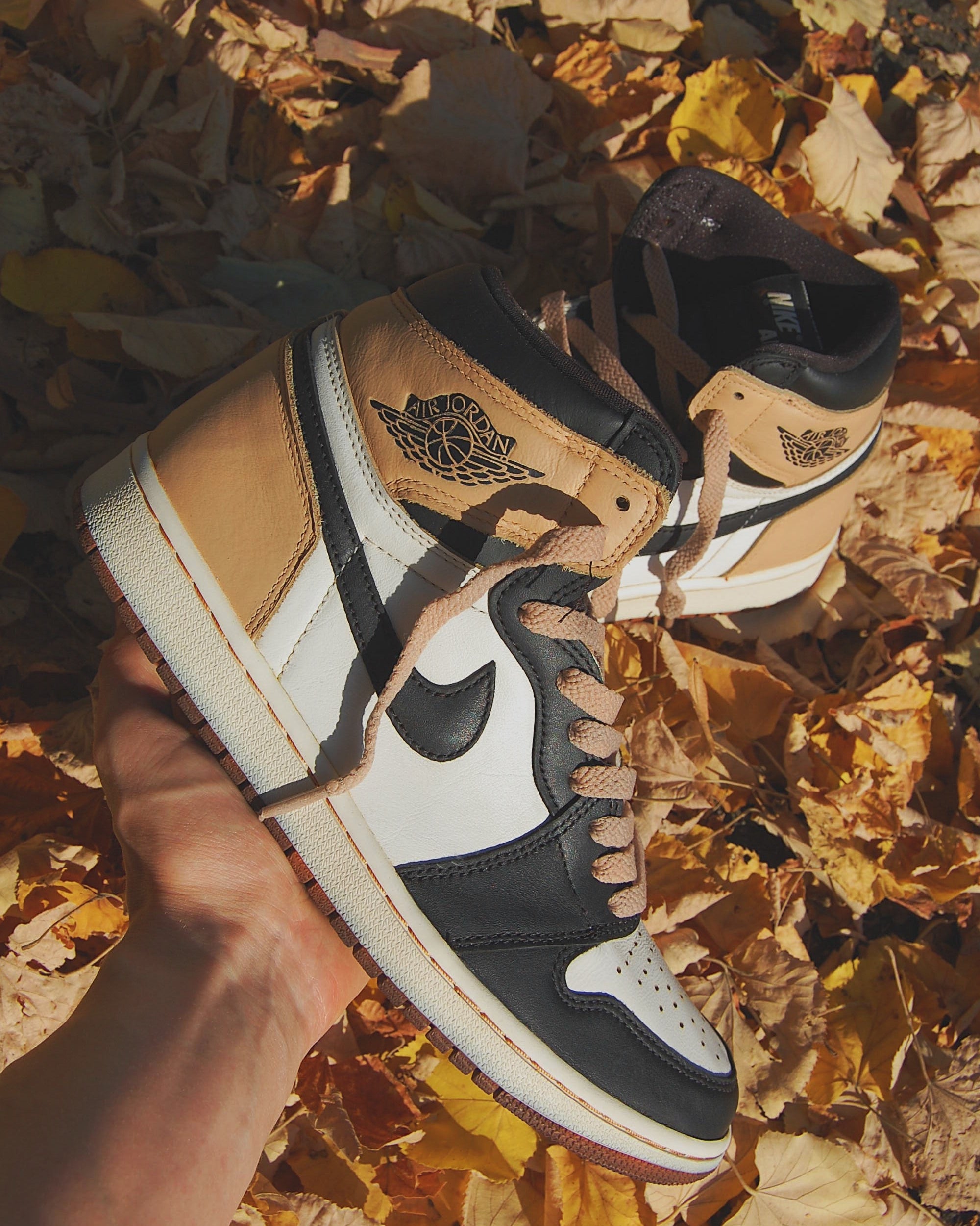 Air Jordan 1 High "Tan"