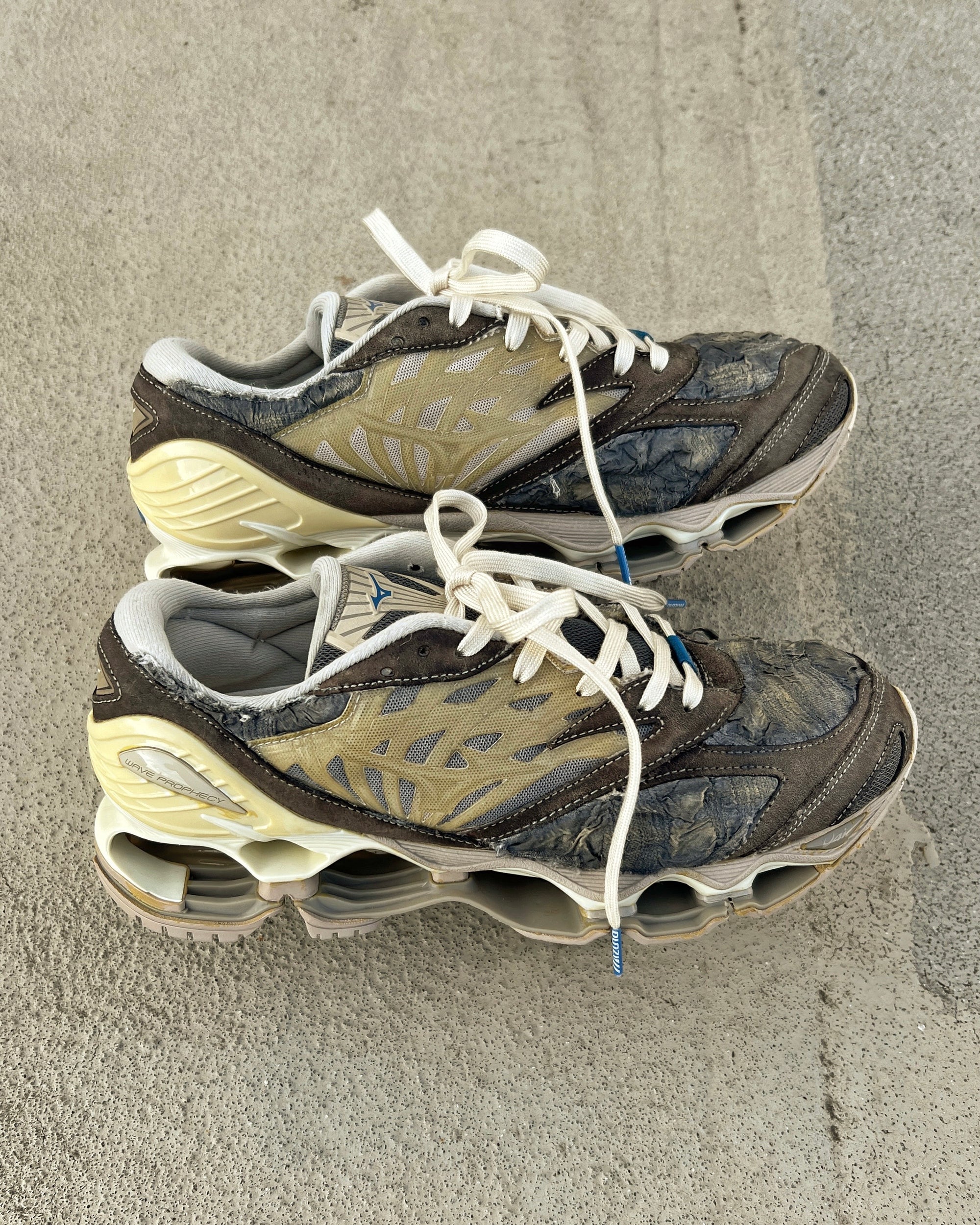 Wave Prophecy LS "Faded Shrink"