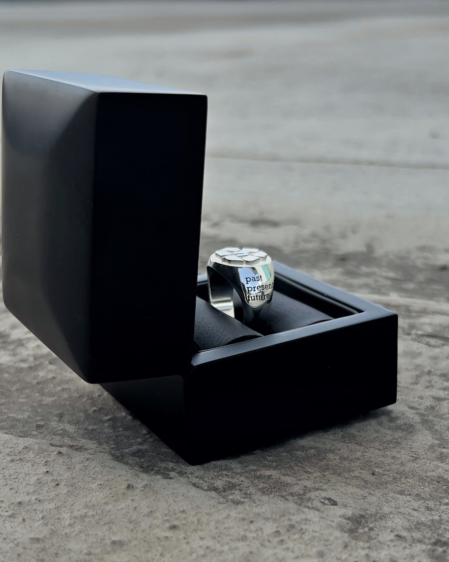 Gazelle Indoor "hidden.ny"