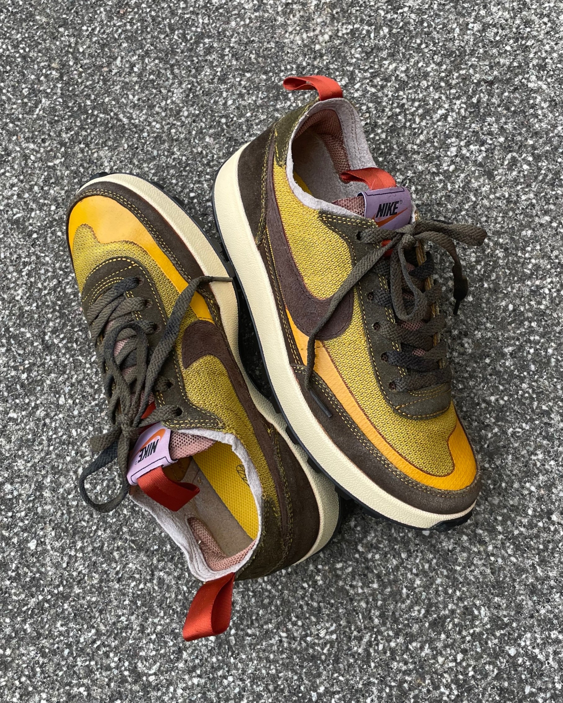 General Purpose "Maple"