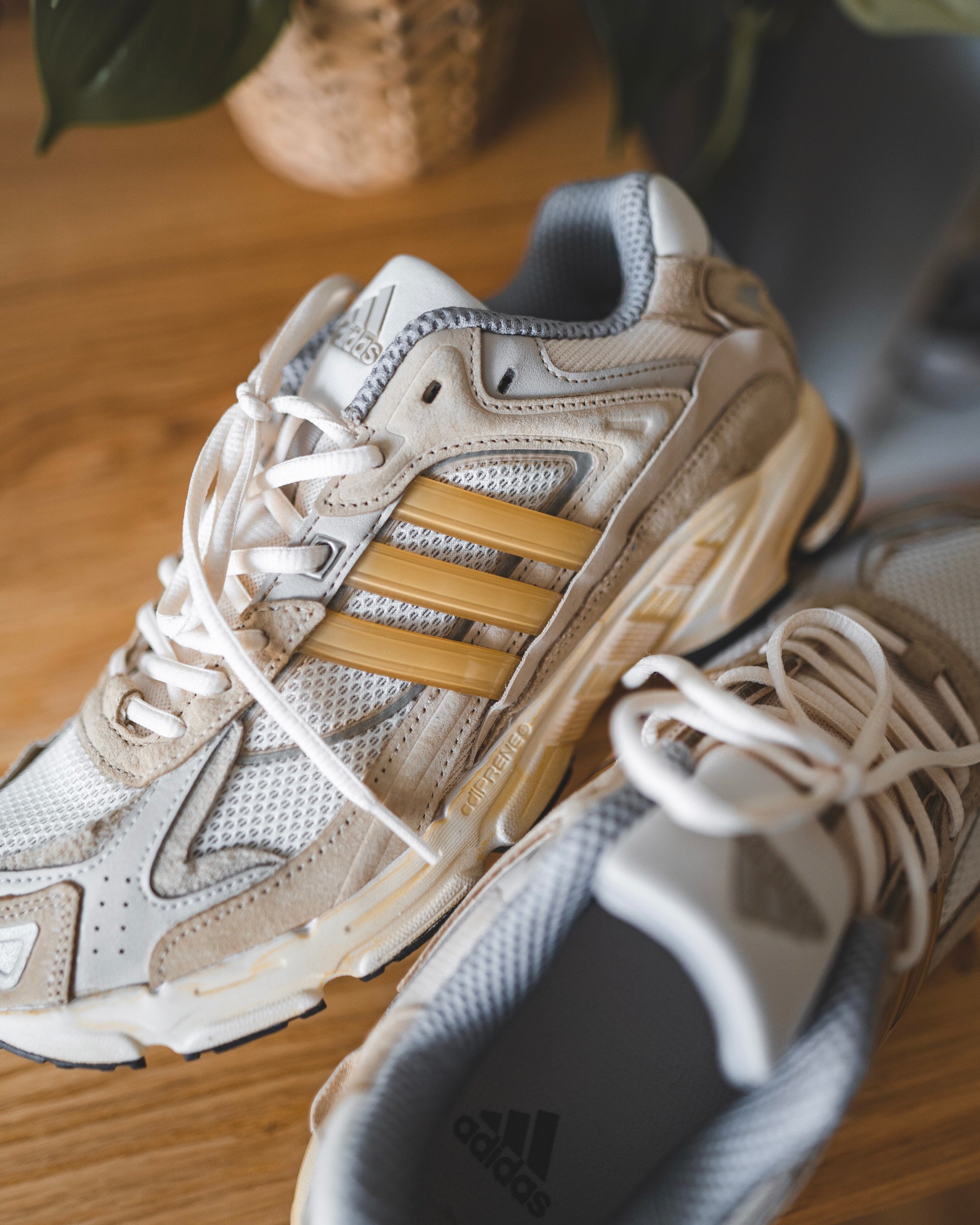 CL Response "CLapped"