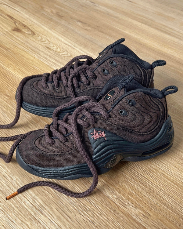 Air Penny 2 "Choclate"
